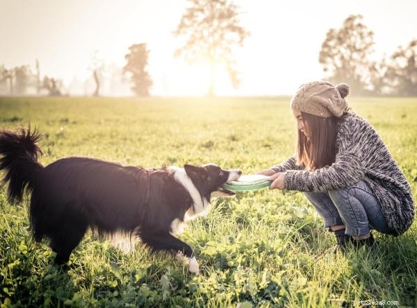 Understanding Playful Biting: Why Your Dog May Bite During Games