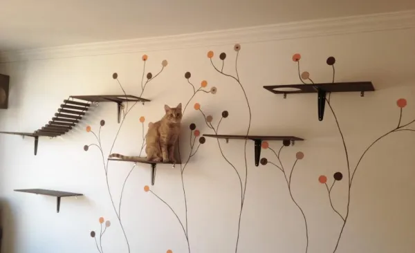 Managing Your Cat s Loneliness: Expert Tips for a Healthy, Happy Feline
