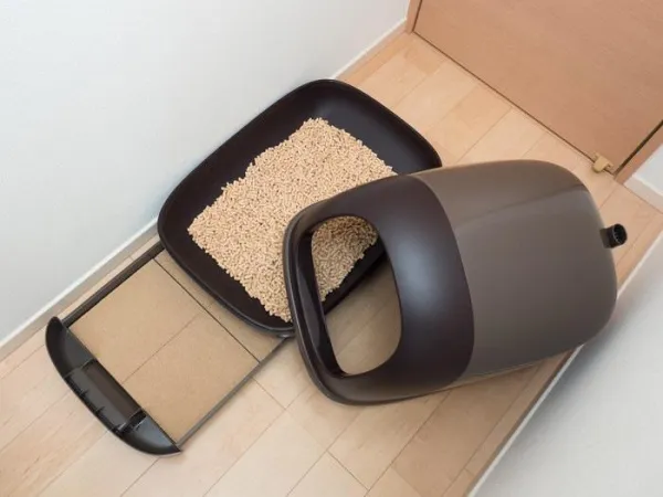 Why Your Cat Is Excessively Scratching Their Litter Box – What It Means & How to Fix It