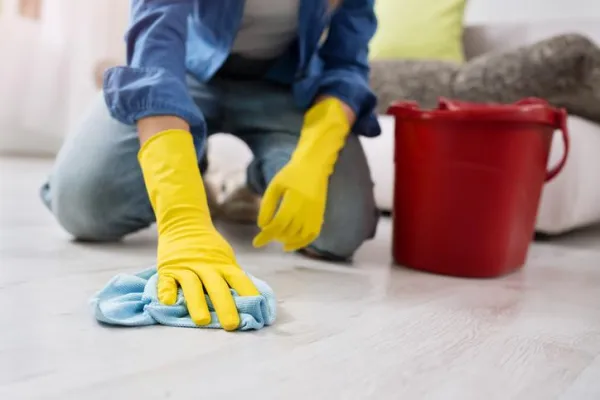 Why Is My Dog Suddenly Pooping Indoors? Causes & Solutions