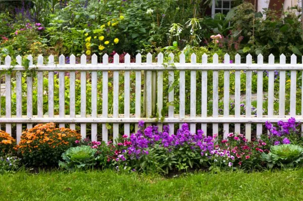 Stop Your Dog from Pooping in Your Yard: Proven Training Tips