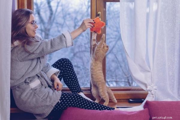 How to Play with Your Cat: Engaging Games for a Stronger Bond