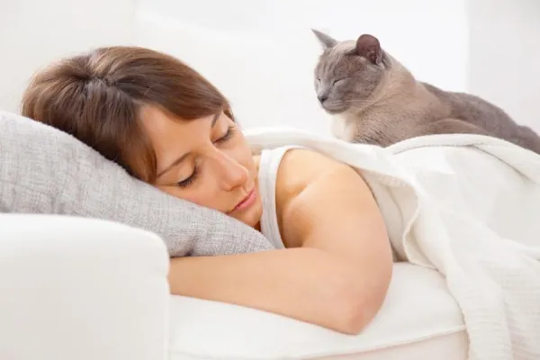 Why Your Cat Keeps Meowing at Night & How to Stop It