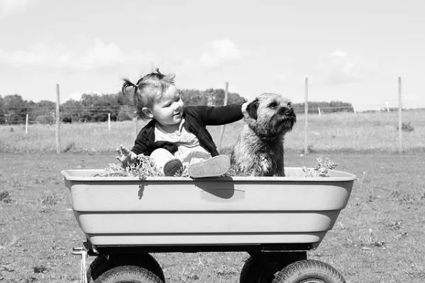 How to Handle Your Dog’s Jealousy When a New Baby Arrives