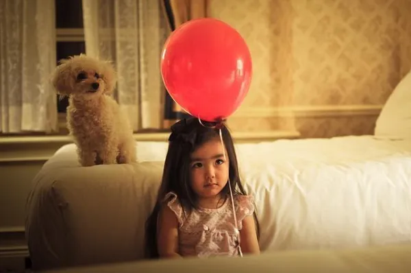 How to Handle Your Dog’s Jealousy When a New Baby Arrives