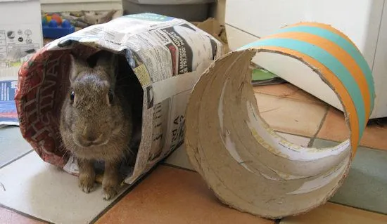 5 Easy Homemade Rabbit Toys to Keep Your Furry Friend Entertained
