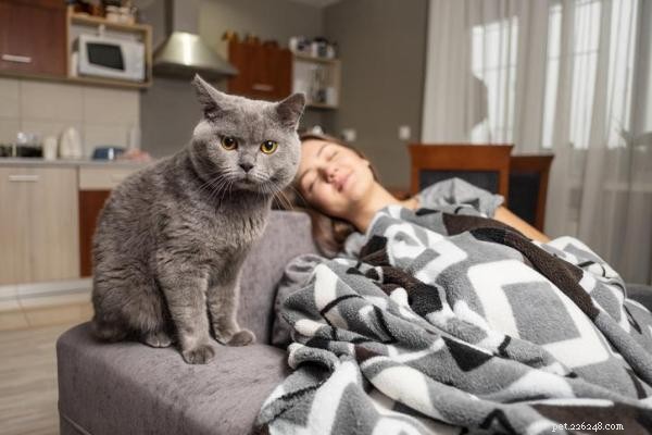 Why Your Cat Bites You While Sleeping and How to Stop It