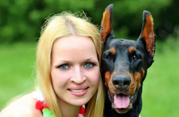 How to Manage a Dog That Is Overprotective of Its Owner