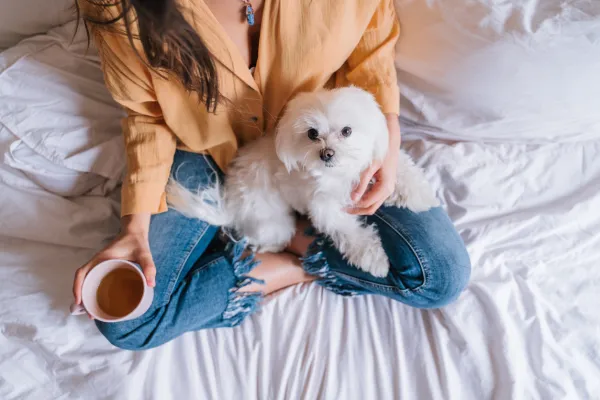 Why Does My Dog Prefer Sitting on You? Understanding Their Affectionate Behavior