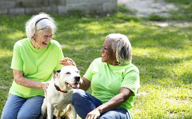 Unconditional Love: Do Dogs Truly Love Us?