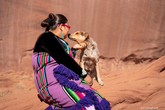 Unconditional Love: Do Dogs Truly Love Us?