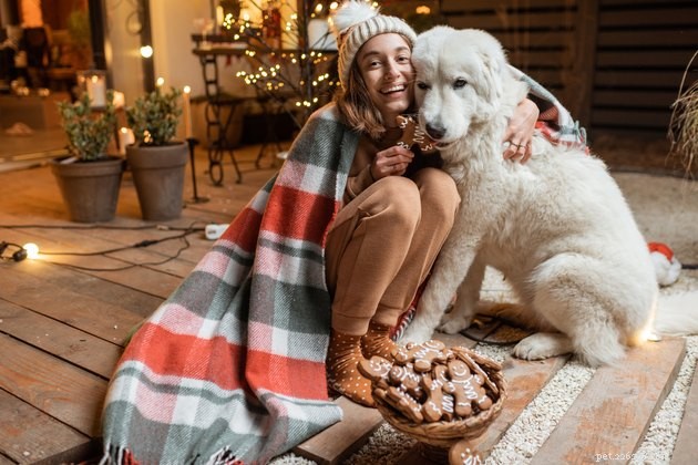 Why Dogs Put Their Paw on You While Petting: Understanding the Canine Signal
