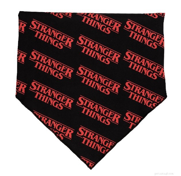 11 Must‑Hold Stranger Things Accessories for Your Dog & Cat