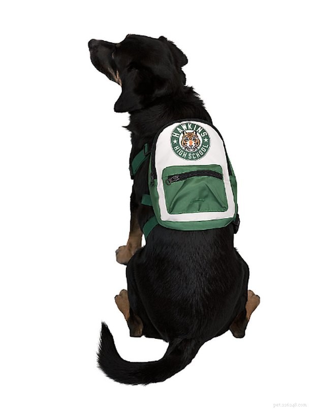 11 Must‑Hold Stranger Things Accessories for Your Dog & Cat