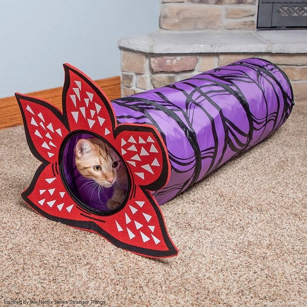 11 Must‑Hold Stranger Things Accessories for Your Dog & Cat