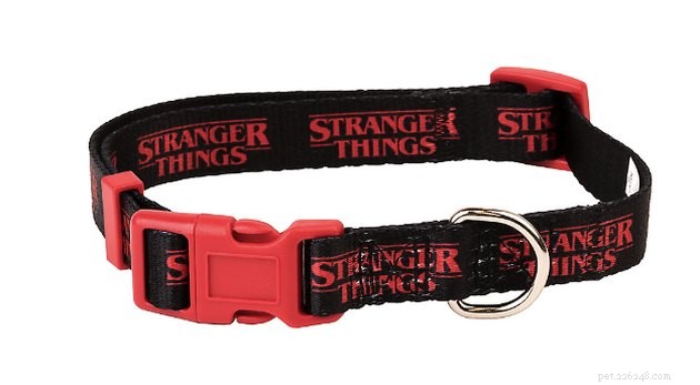11 Must‑Hold Stranger Things Accessories for Your Dog & Cat
