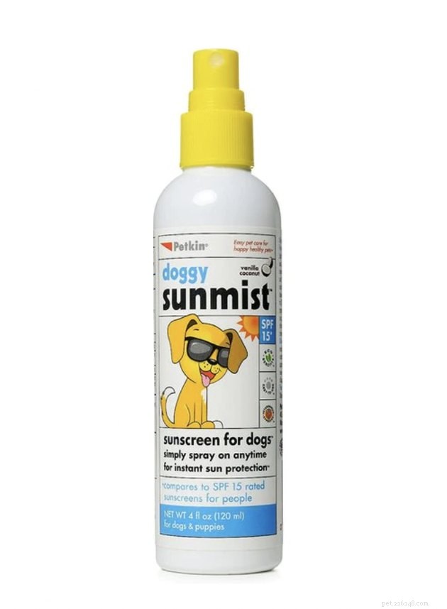 Top Dog Sunscreens of 2022: Protect Your Pet From Sunburn