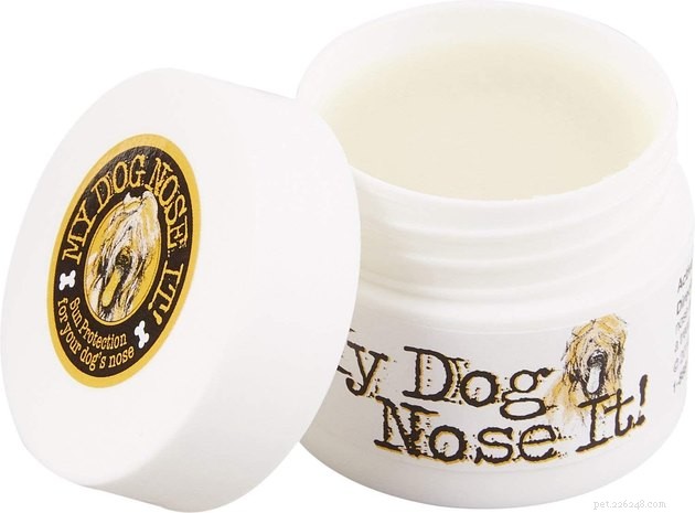 Top Dog Sunscreens of 2022: Protect Your Pet From Sunburn