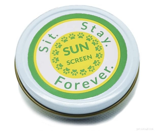 Top Dog Sunscreens of 2022: Protect Your Pet From Sunburn
