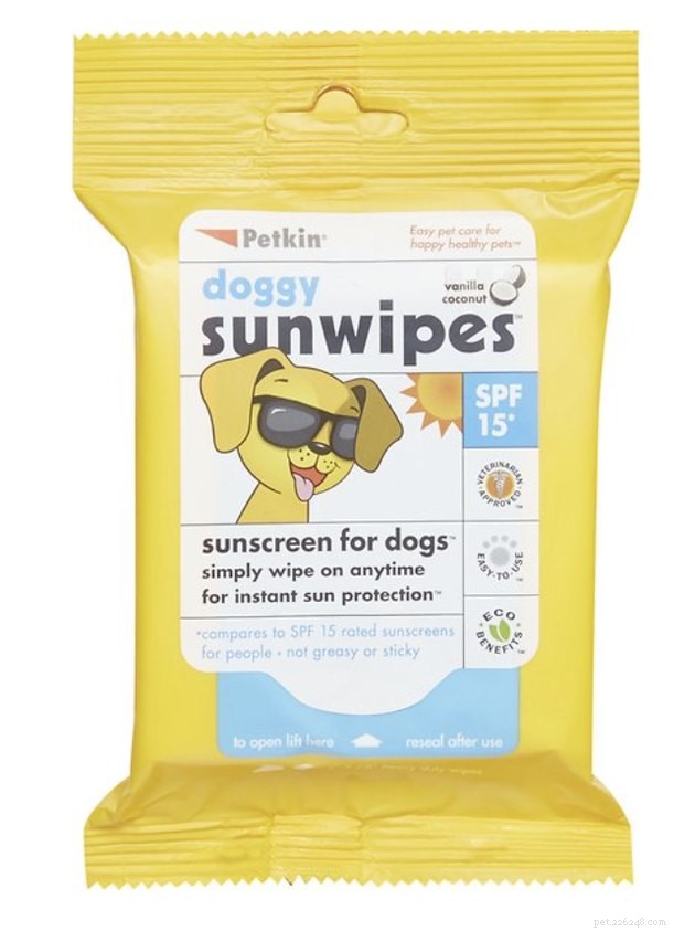 Top Dog Sunscreens of 2022: Protect Your Pet From Sunburn