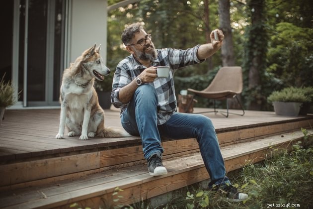 Can You Bring Your Dog to Canada’s National Parks? Rules, Restrictions, and Top Pet‑Friendly Parks