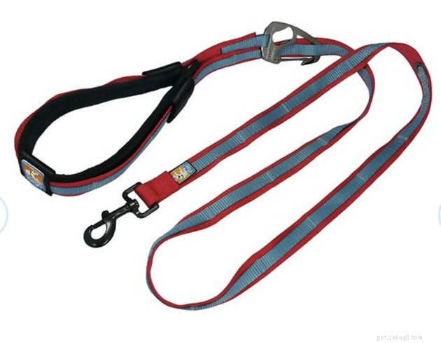 Top 2022 Hands‑Free Dog Leashes for Convenient, Secure Walks