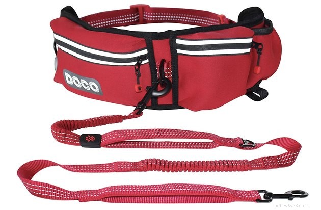 Top 2022 Hands‑Free Dog Leashes for Convenient, Secure Walks