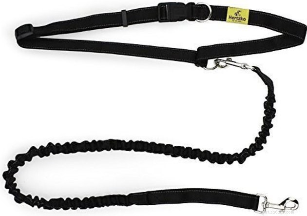 Top 2022 Hands‑Free Dog Leashes for Convenient, Secure Walks