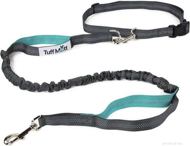 Top 2022 Hands‑Free Dog Leashes for Convenient, Secure Walks