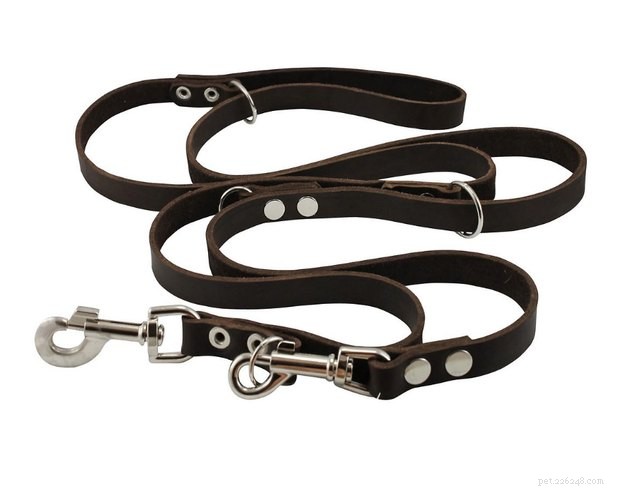 Top 2022 Hands‑Free Dog Leashes for Convenient, Secure Walks