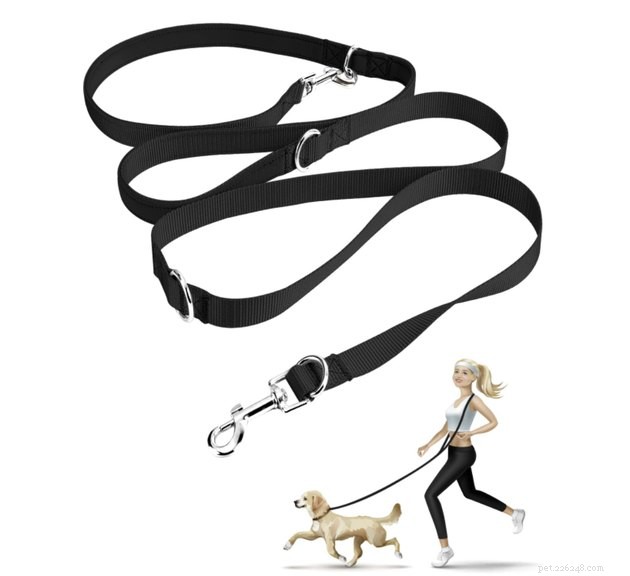 Top 2022 Hands‑Free Dog Leashes for Convenient, Secure Walks