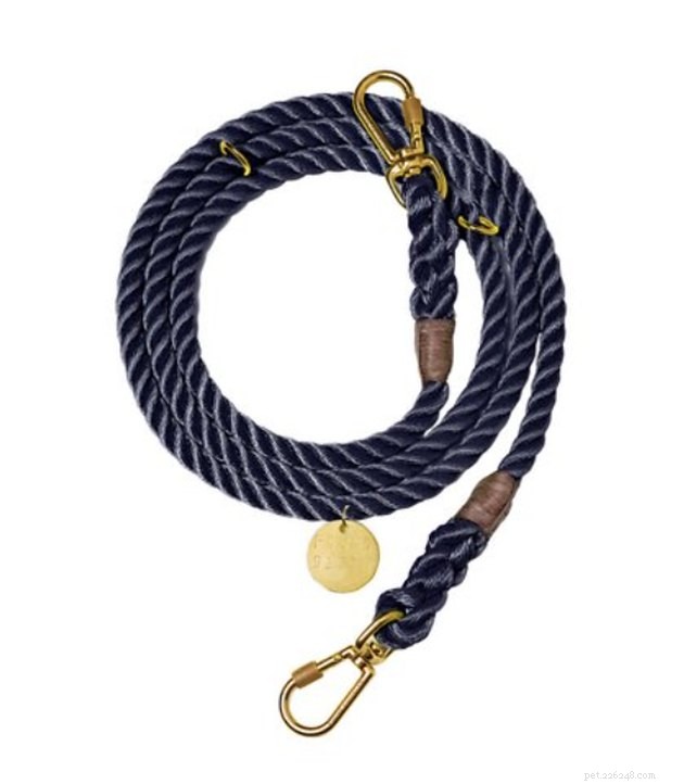 Top 2022 Hands‑Free Dog Leashes for Convenient, Secure Walks
