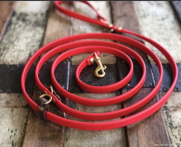 Top 2022 Hands‑Free Dog Leashes for Convenient, Secure Walks