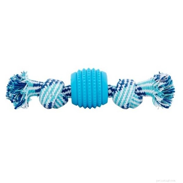 Top 2022 Dog Toys for Small Breeds: Safe & Engaging Picks