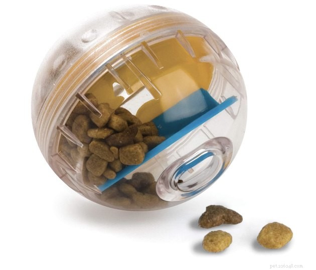 Top 2022 Dog Toys for Small Breeds: Safe & Engaging Picks