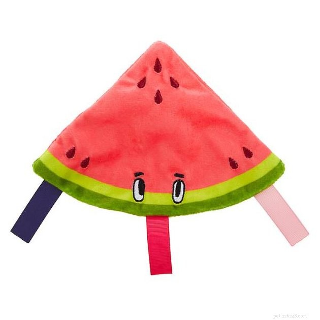 Top 2022 Dog Toys for Small Breeds: Safe & Engaging Picks