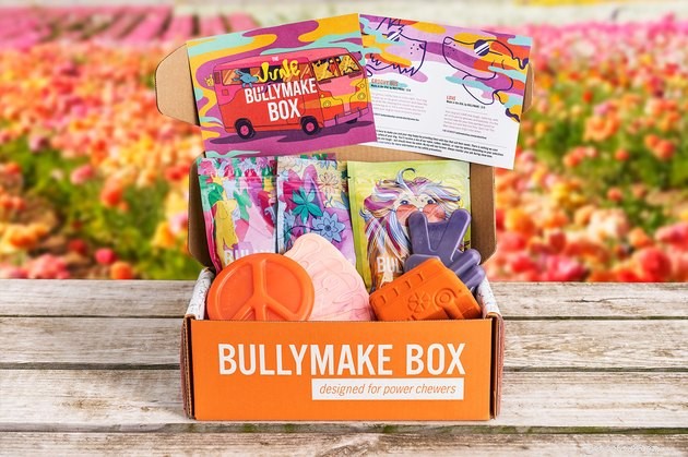 Top Dog Subscription Boxes of 2022: Treats, Toys, & More
