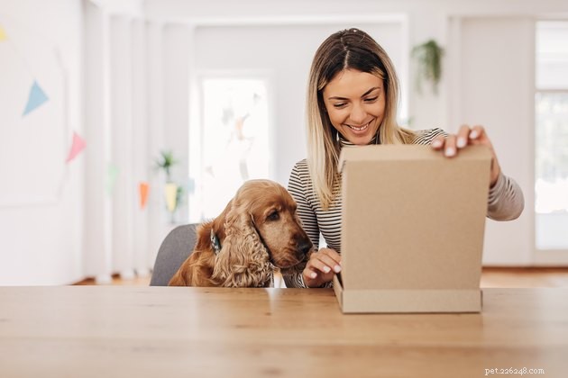 Top Dog Subscription Boxes of 2022: Treats, Toys, & More