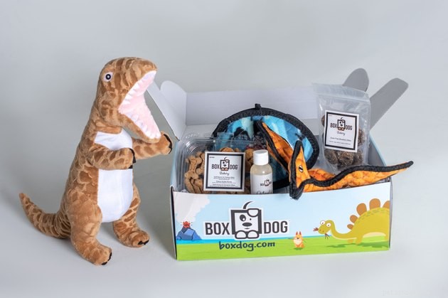 Top Dog Subscription Boxes of 2022: Treats, Toys, & More