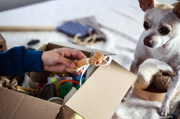 Top Dog Subscription Boxes of 2022: Treats, Toys, & More