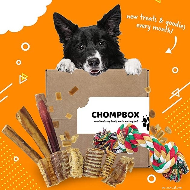 Top Dog Subscription Boxes of 2022: Treats, Toys, & More