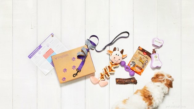 Top Dog Subscription Boxes of 2022: Treats, Toys, & More