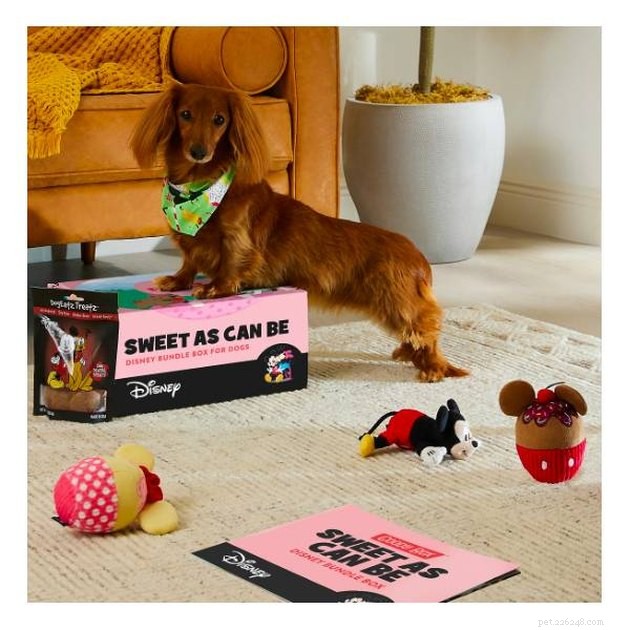 Top Dog Subscription Boxes of 2022: Treats, Toys, & More