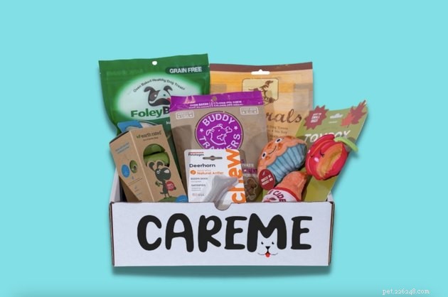 Top Dog Subscription Boxes of 2022: Treats, Toys, & More
