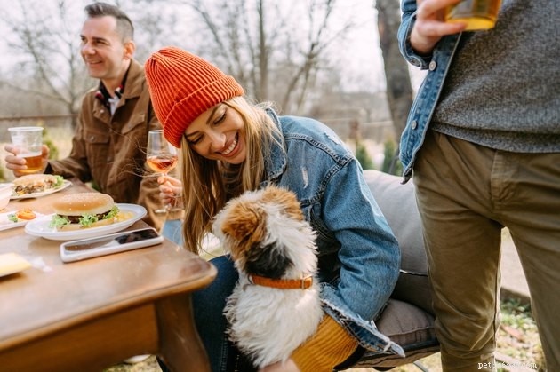 Calm Your Dog on July 4th: Simple Decompression Games to Reduce Firework Anxiety