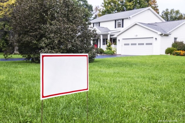 Speak Kindly: Managing Fireworks, Fourth of July, and Your Dog with Neighborly Tactics