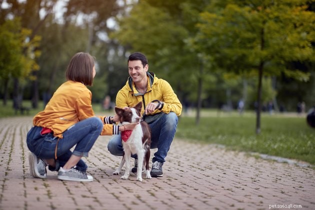Speak Kindly: Managing Fireworks, Fourth of July, and Your Dog with Neighborly Tactics