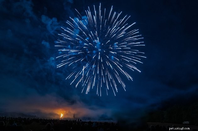 Speak Kindly: Managing Fireworks, Fourth of July, and Your Dog with Neighborly Tactics
