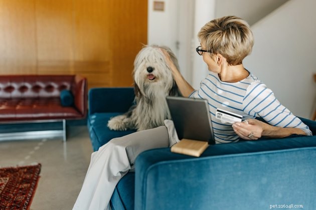 Save Up to 50% on Pet Products During Chewy’s 2022 Blue Box Sale – 14 Expert Tips