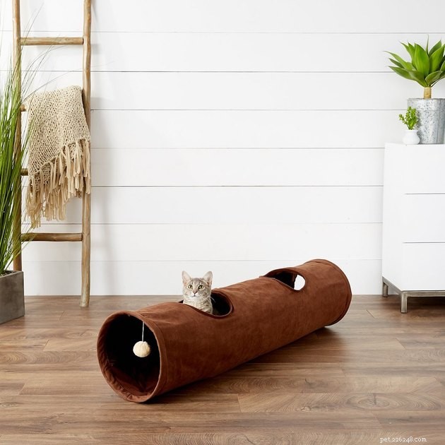 Save Up to 50% on Pet Products During Chewy’s 2022 Blue Box Sale – 14 Expert Tips